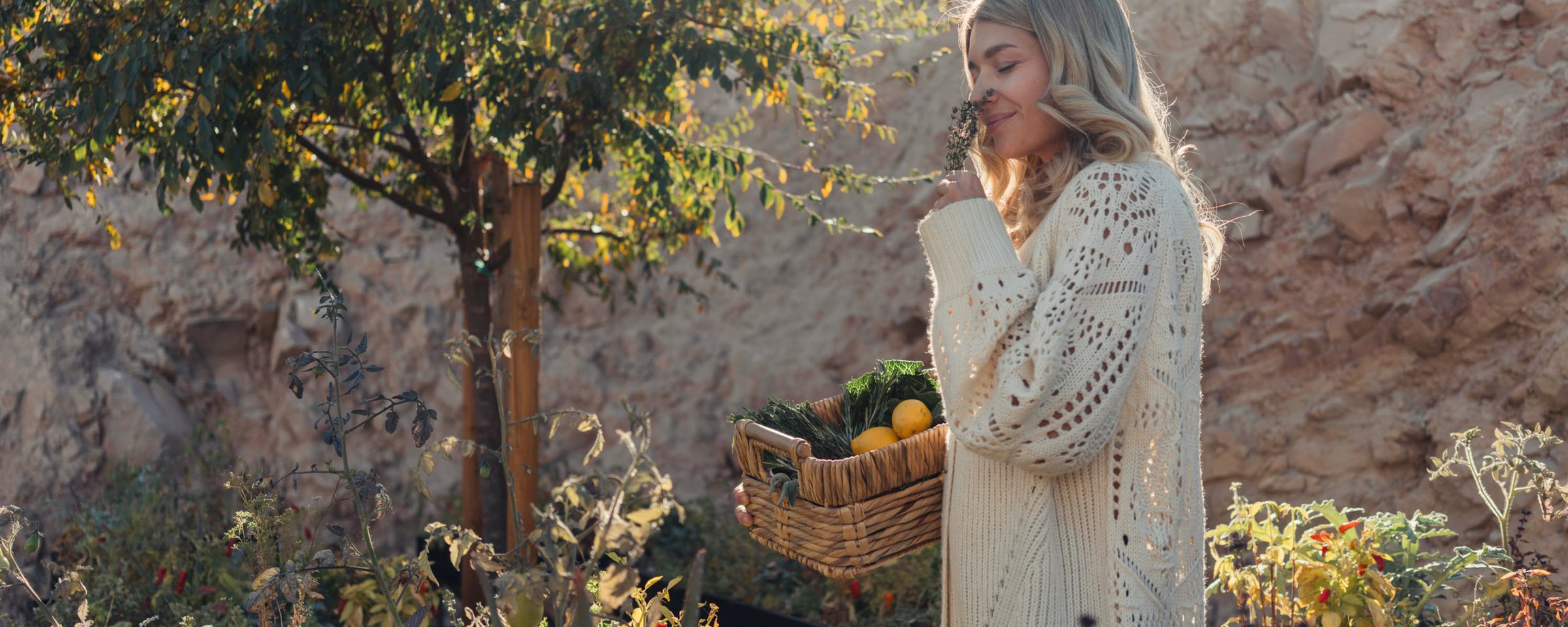 A resident in the Rocky Ridge community garden at golden hour, carrying a basket of greens and lemons beside a fruit tree.